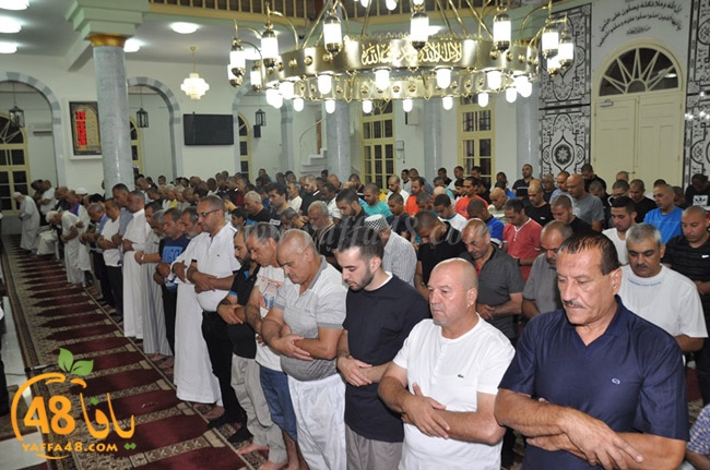 nozha mosqueqk (28).JPG